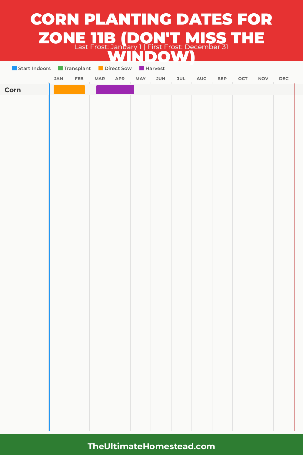 When to Plant Corn in Zone 11b