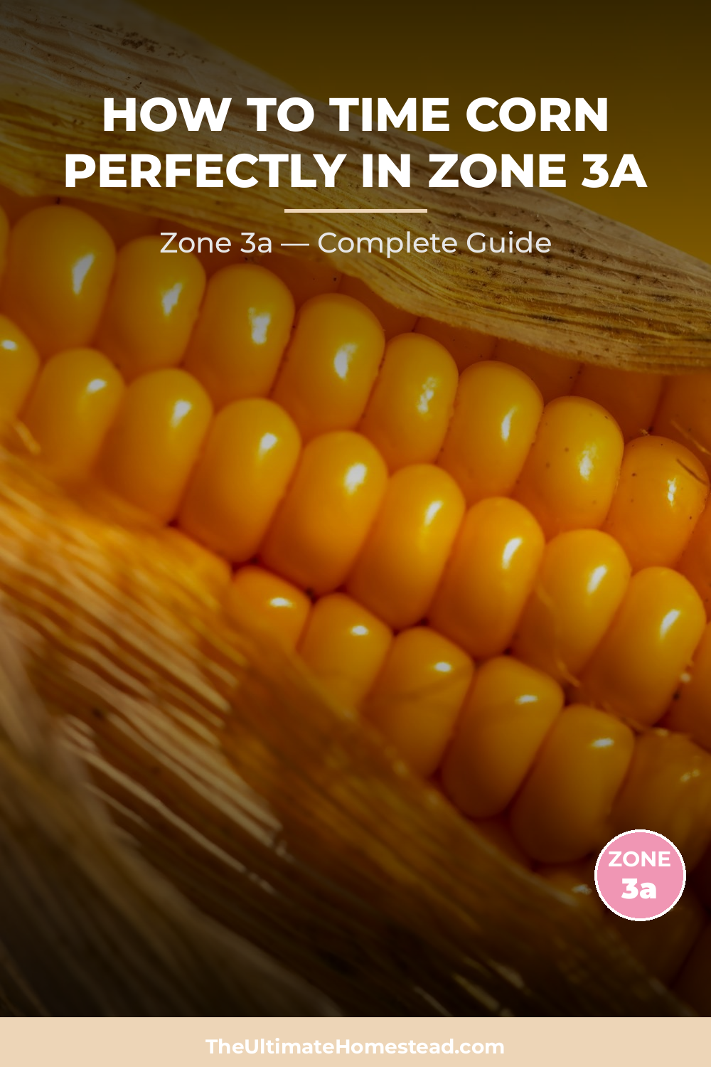 When to Plant Corn in Zone 3a