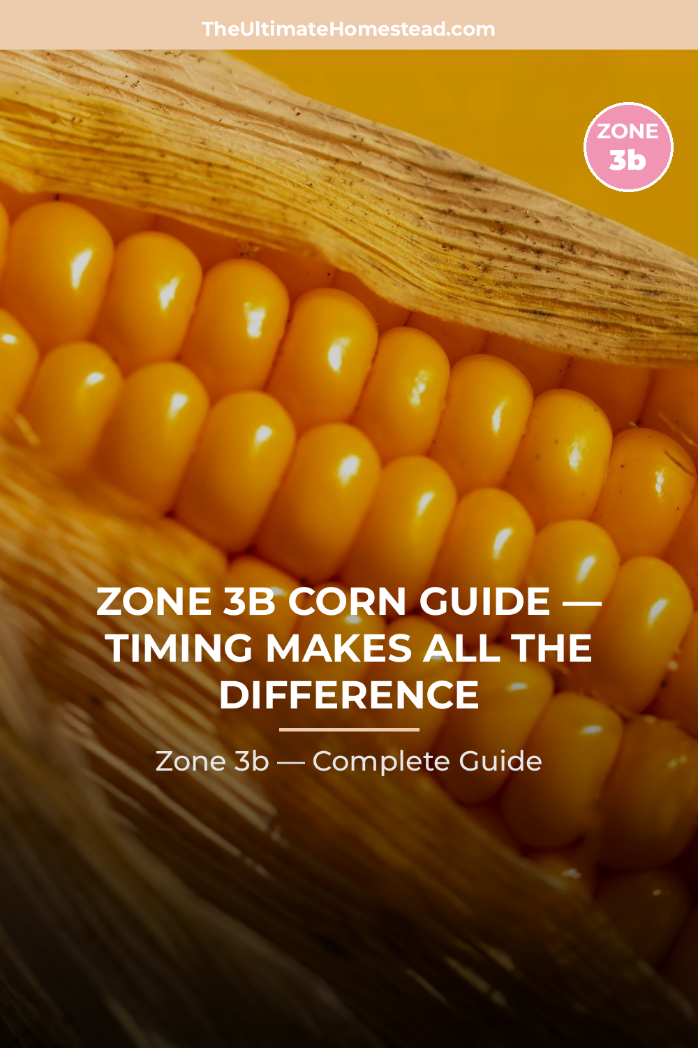 When to Plant Corn in Zone 3b