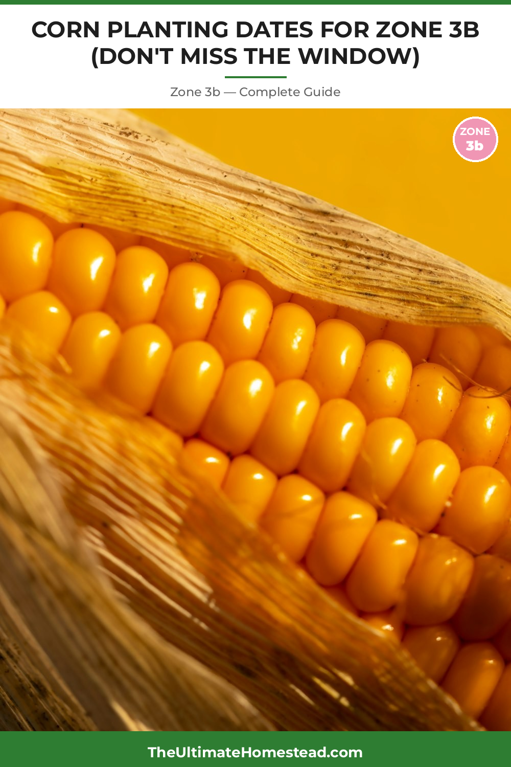 When to Plant Corn in Zone 3b