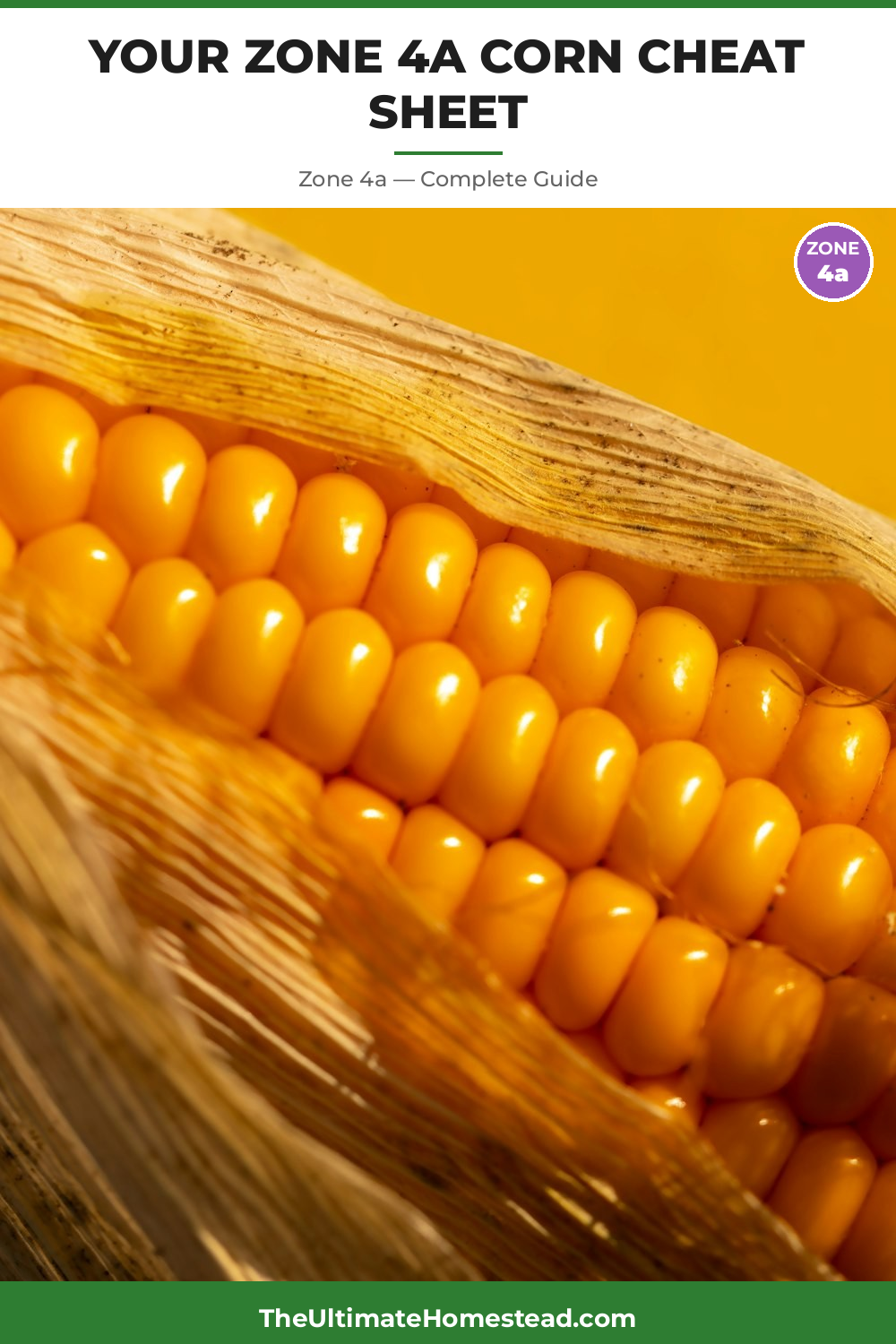 When to Plant Corn in Zone 4a