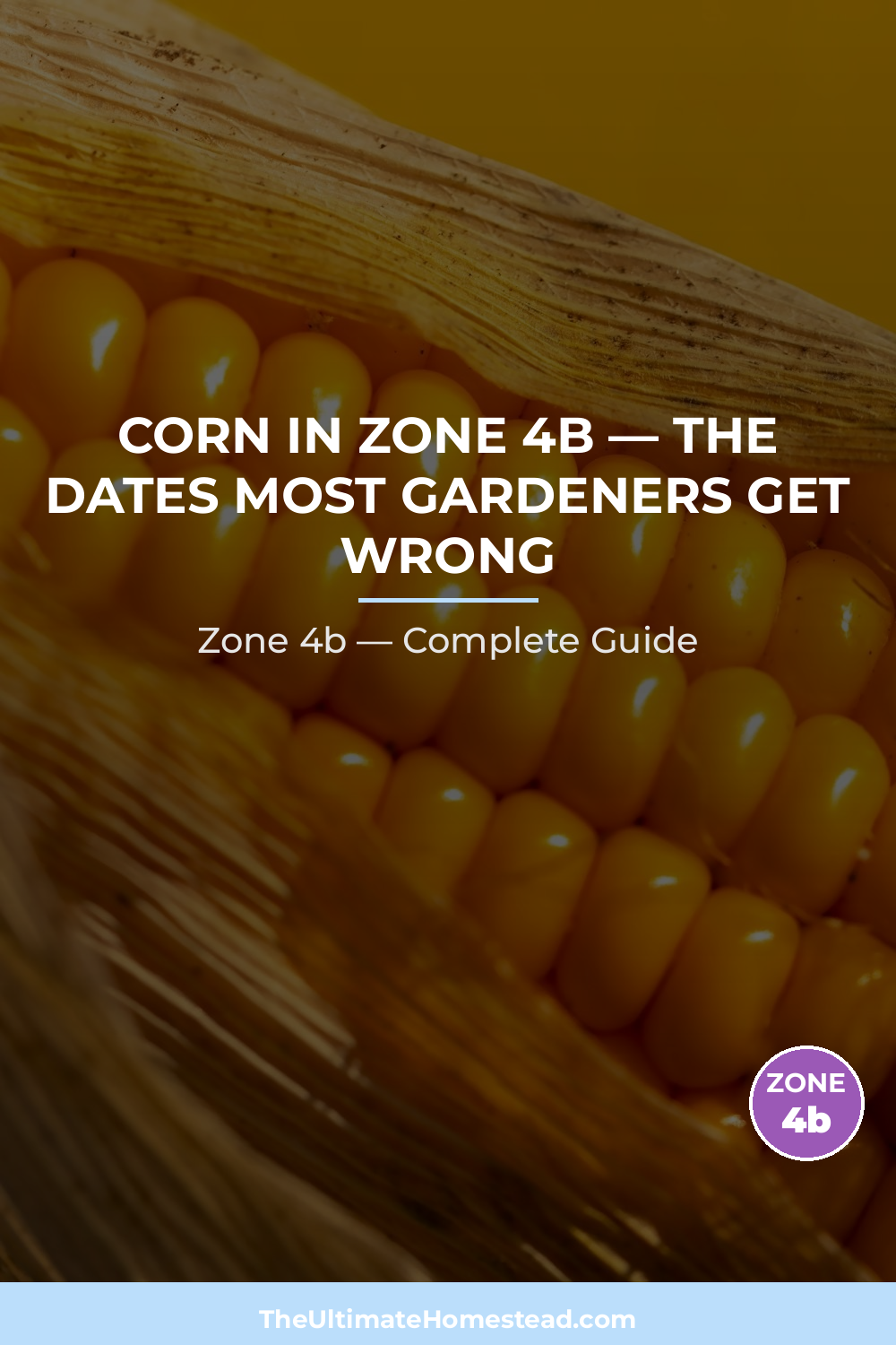 When to Plant Corn in Zone 4b
