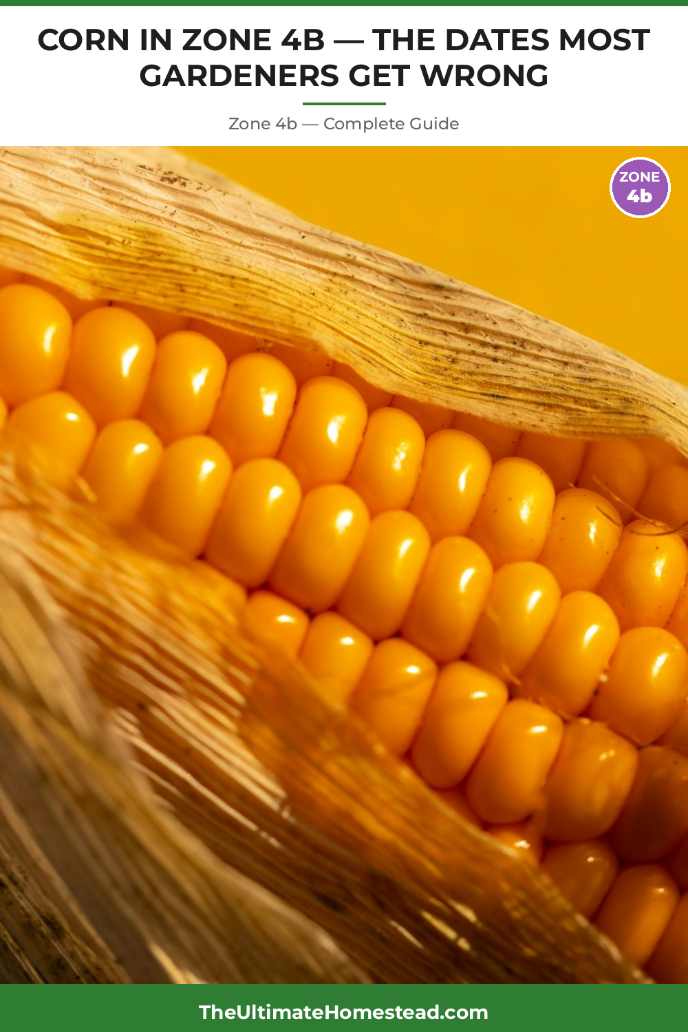When to Plant Corn in Zone 4b