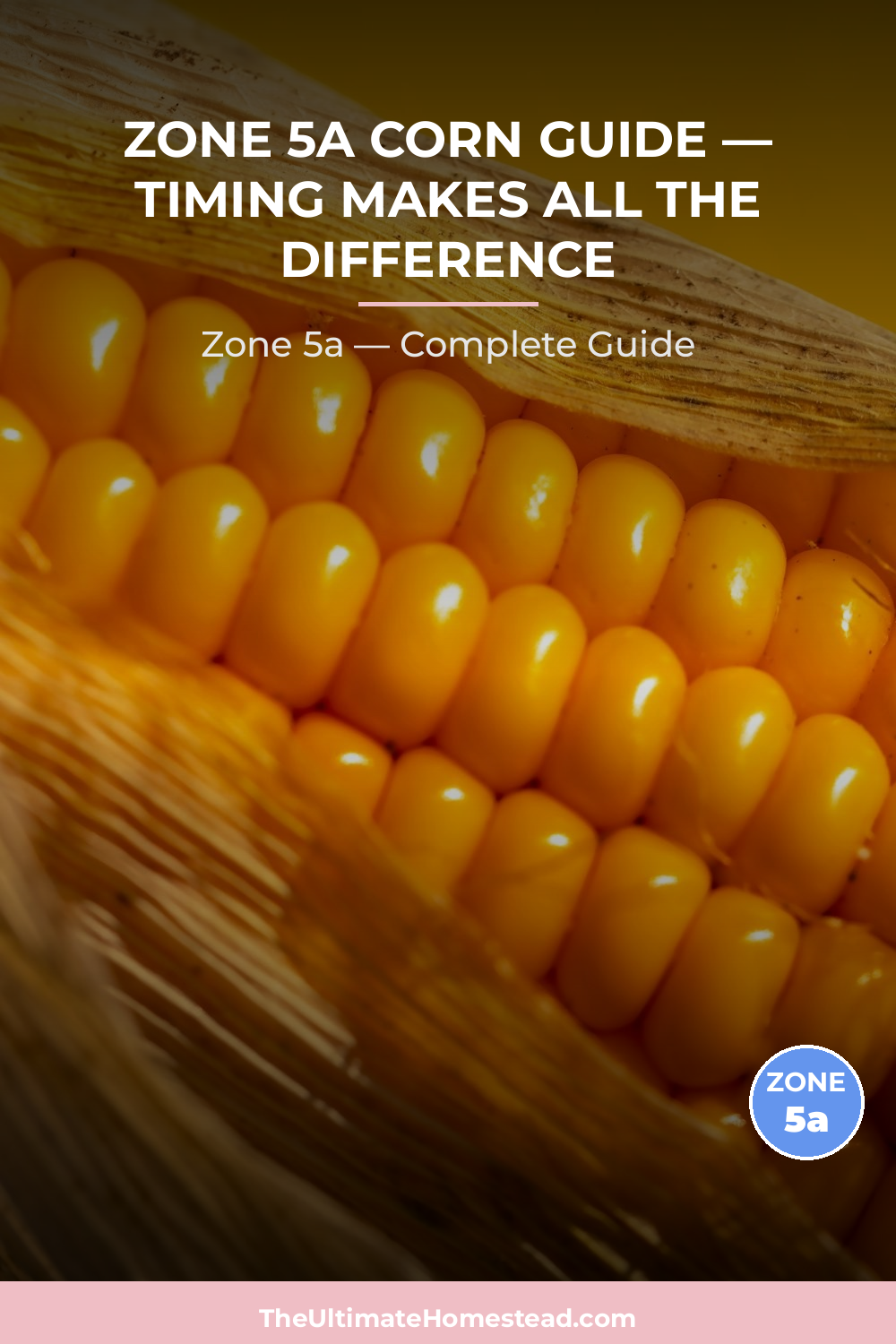 When to Plant Corn in Zone 5a