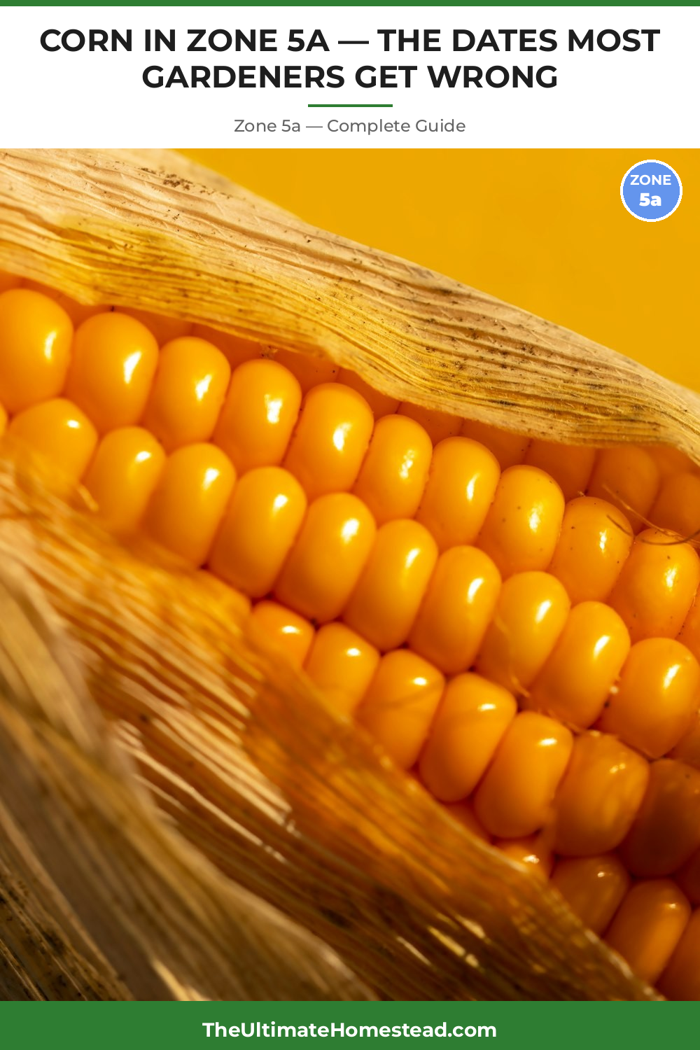 When to Plant Corn in Zone 5a