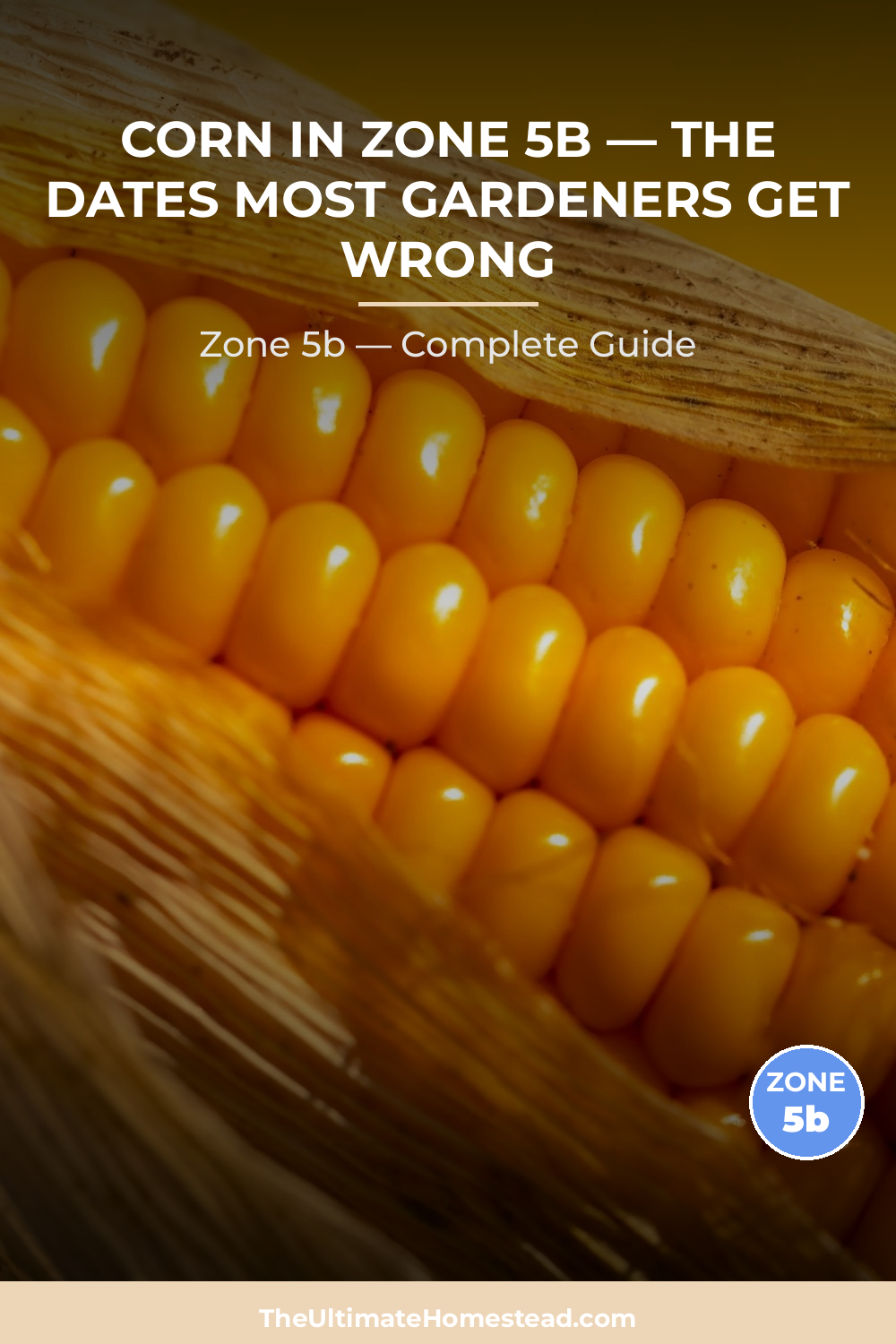 When to Plant Corn in Zone 5b