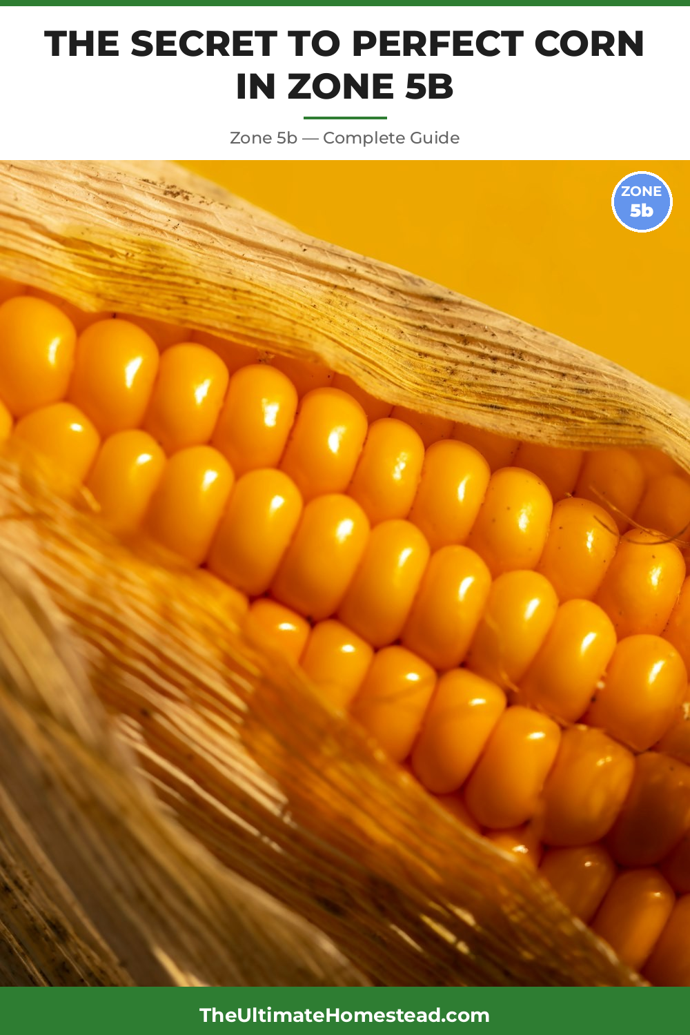 When to Plant Corn in Zone 5b