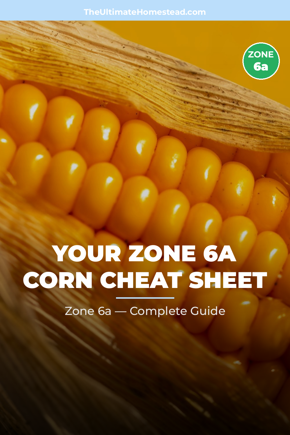 When to Plant Corn in Zone 6a