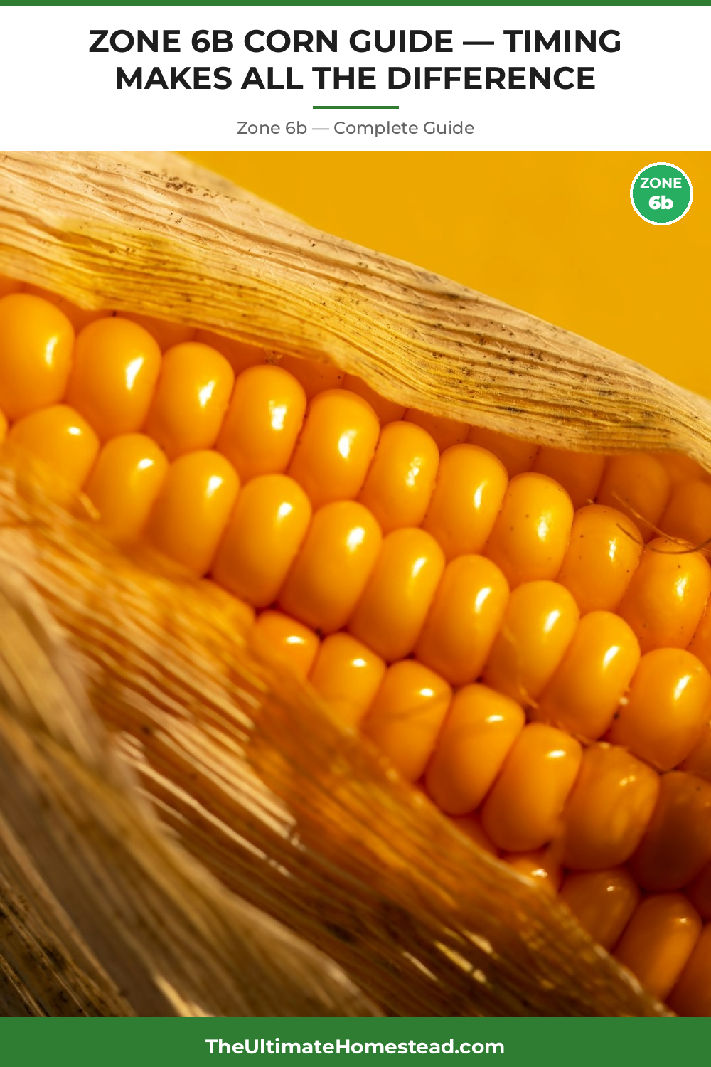 When to Plant Corn in Zone 6b