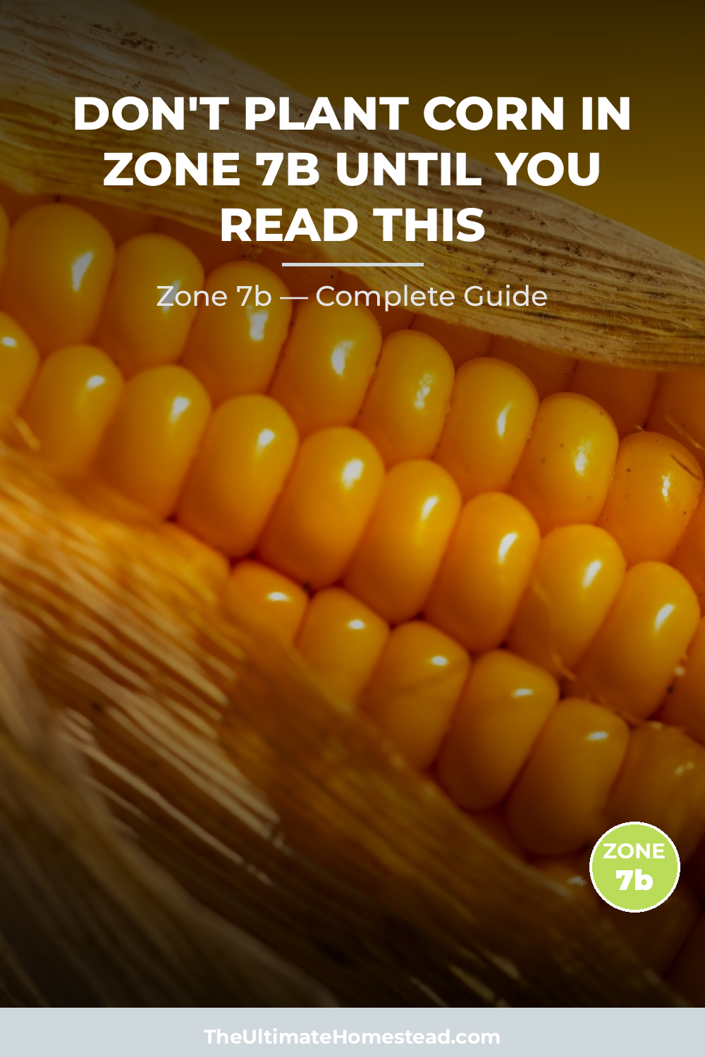 When to Plant Corn in Zone 7b