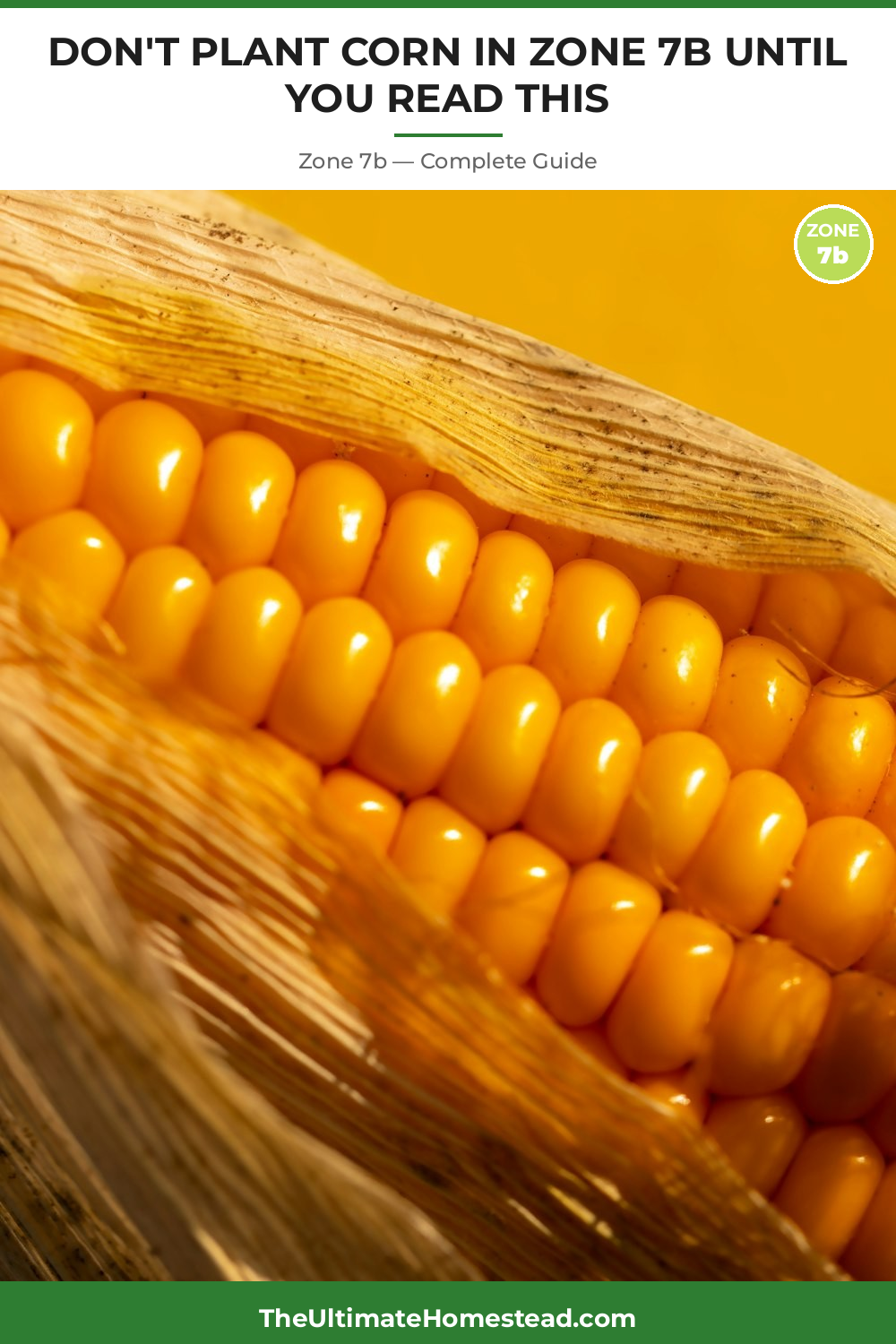 When to Plant Corn in Zone 7b