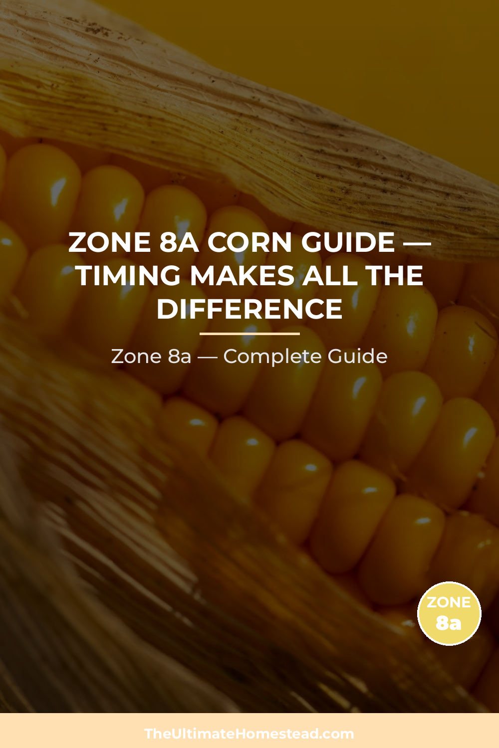 When to Plant Corn in Zone 8a