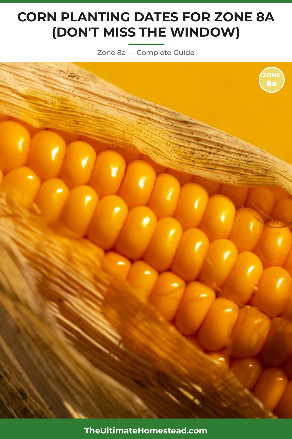 When to Plant Corn in Zone 8a
