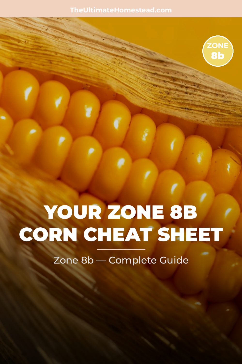 When to Plant Corn in Zone 8b