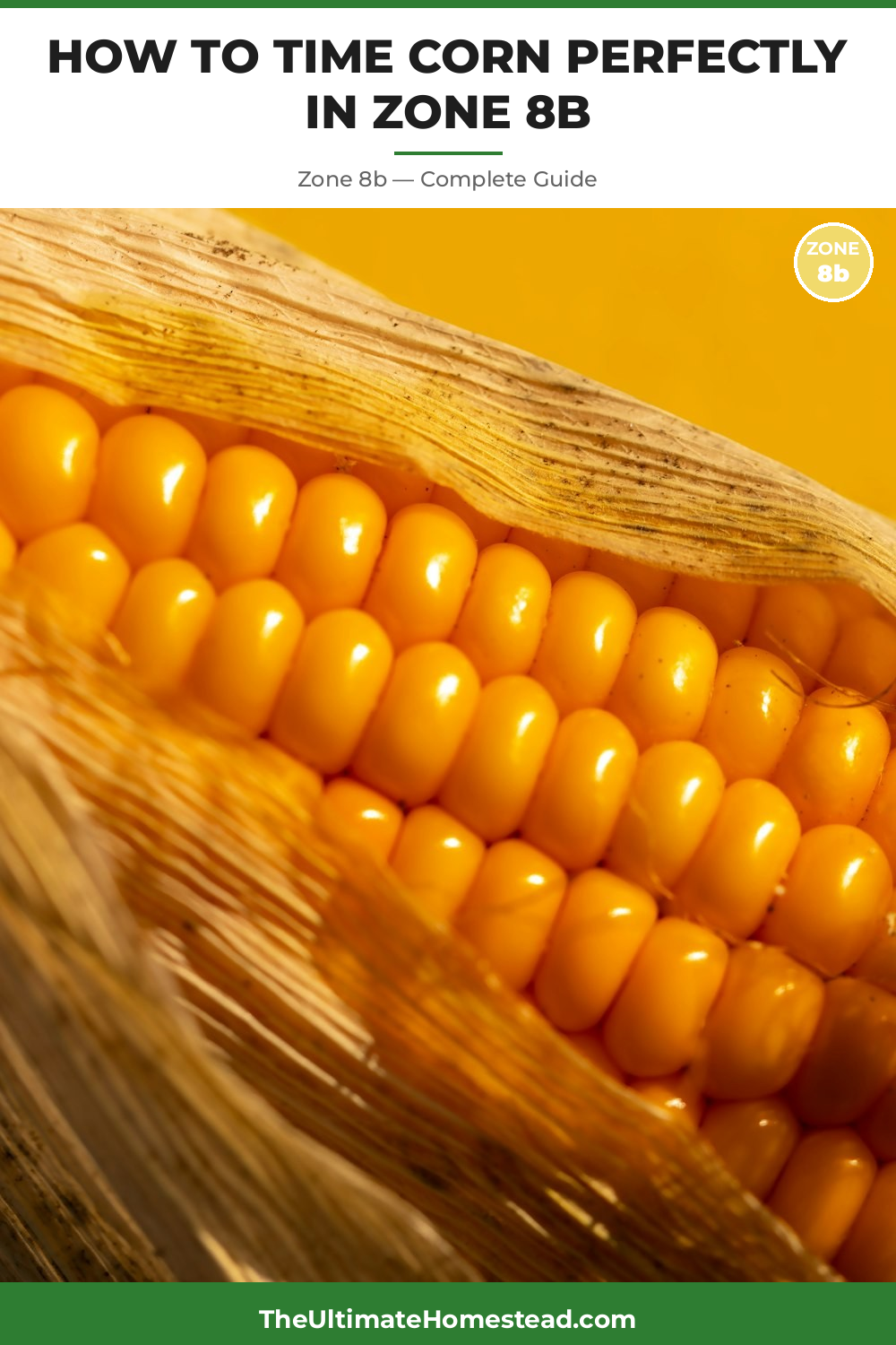 When to Plant Corn in Zone 8b