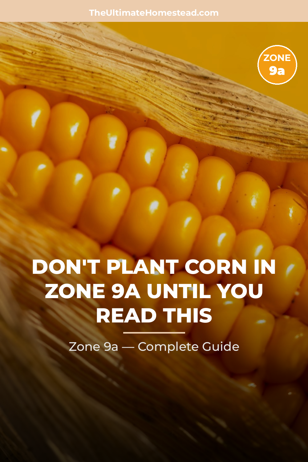 When to Plant Corn in Zone 9a