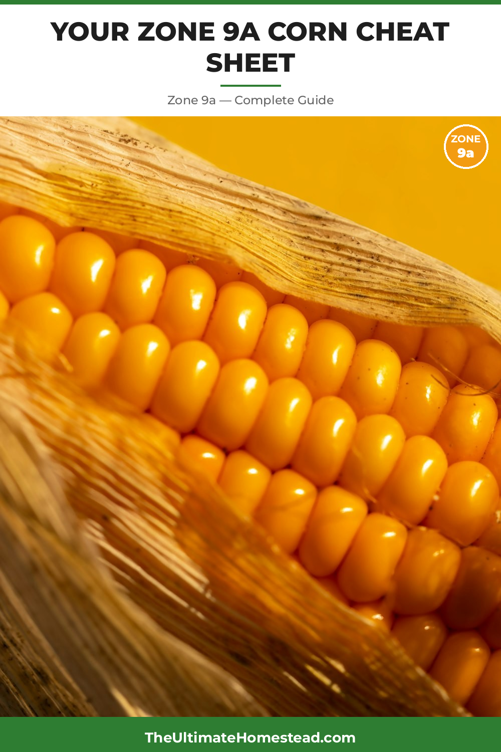 When to Plant Corn in Zone 9a