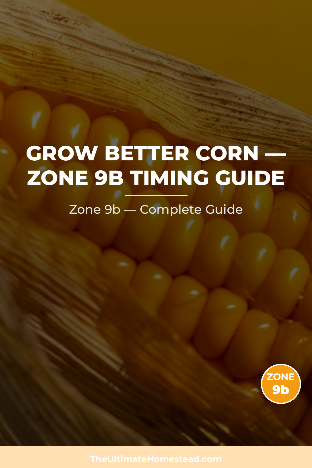 When to Plant Corn in Zone 9b
