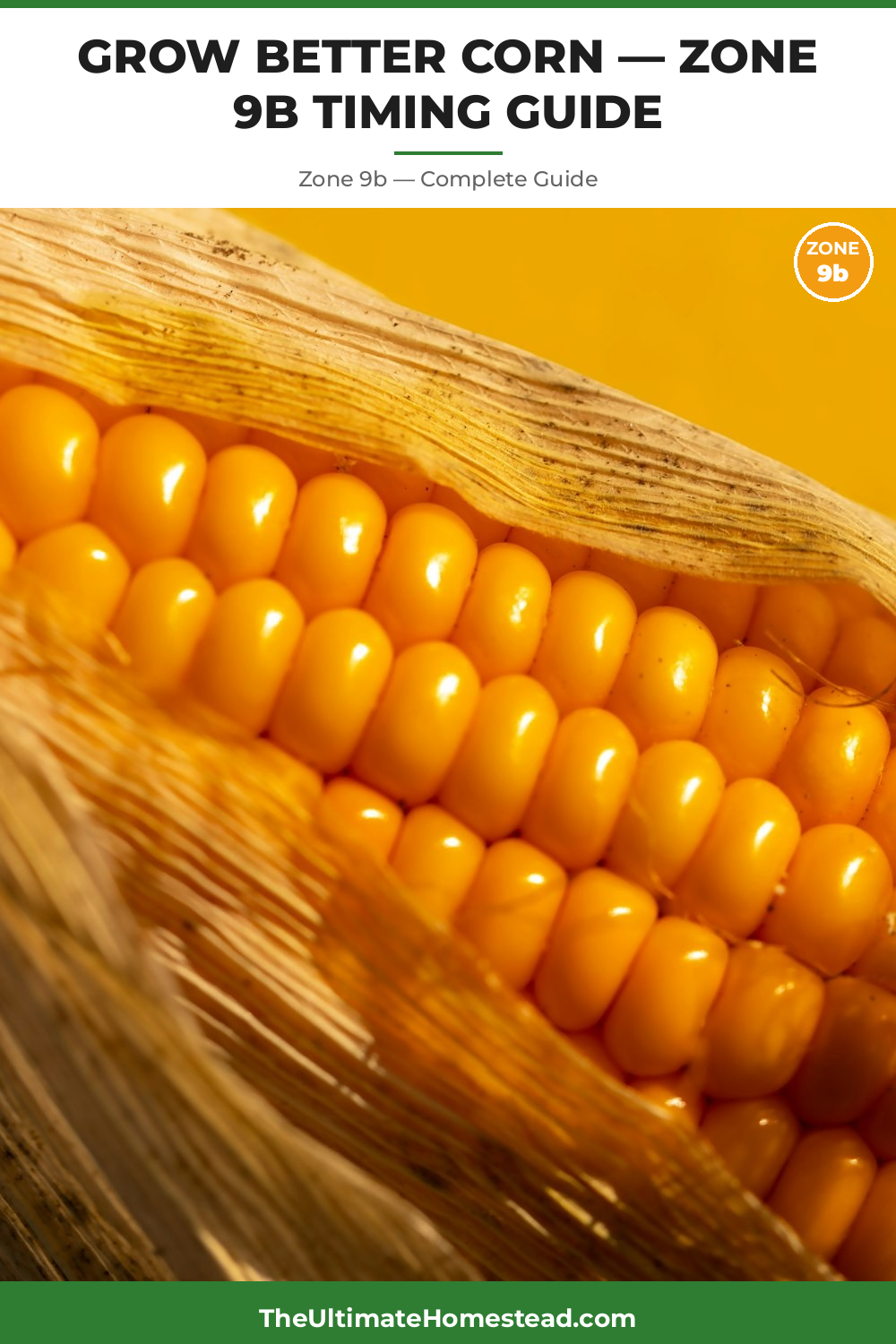 When to Plant Corn in Zone 9b