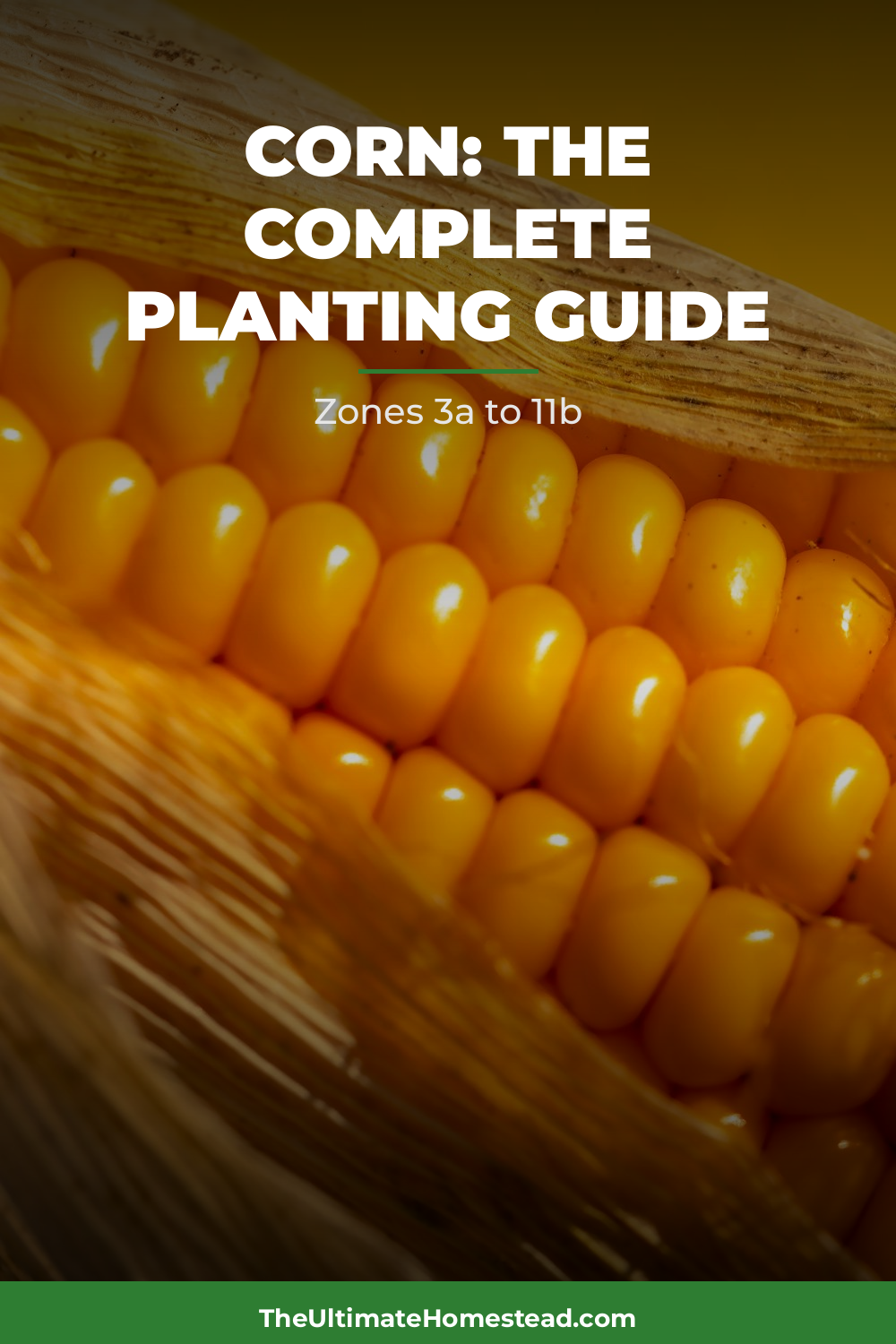 Corn Planting Guide