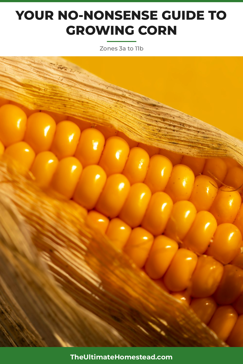 Corn Planting Guide