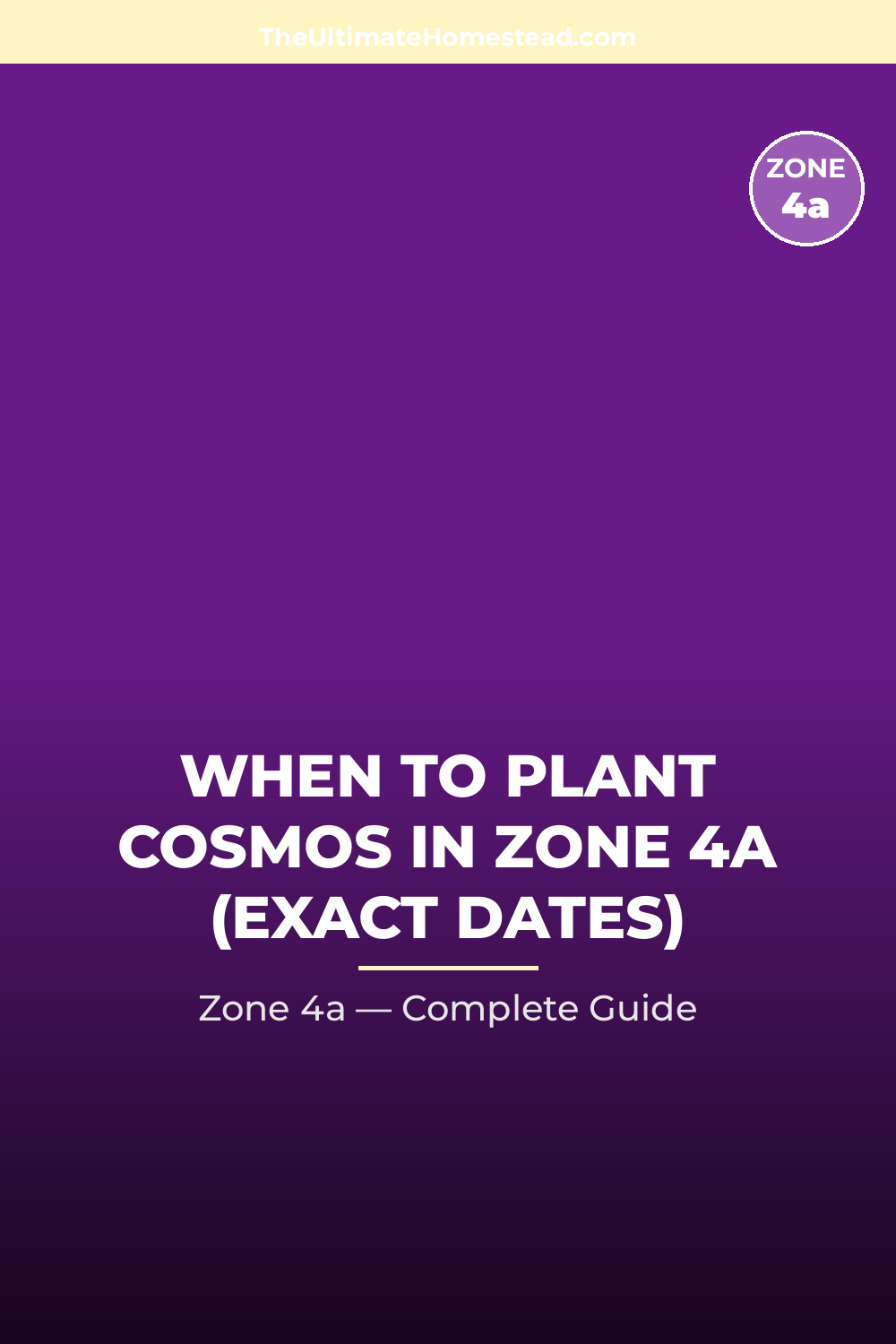 When to Plant Cosmos in Zone 4a