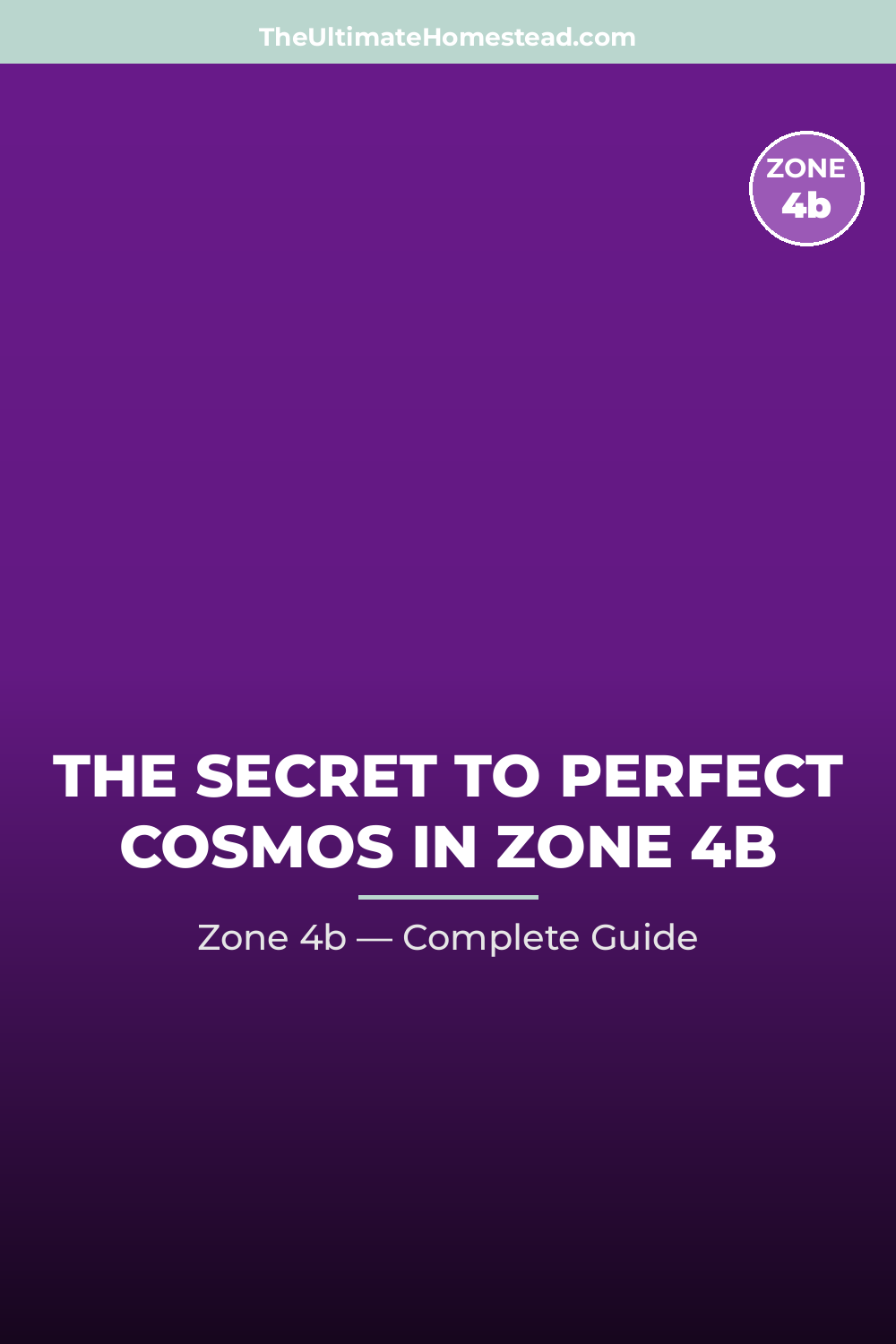 When to Plant Cosmos in Zone 4b