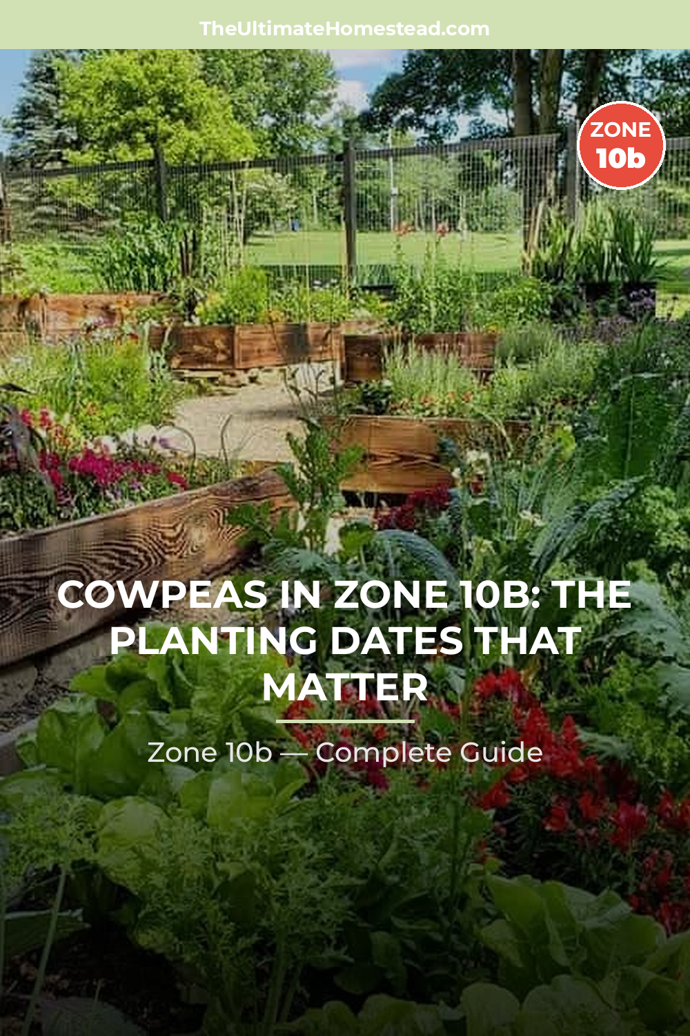 When to Plant Cowpeas in Zone 10b