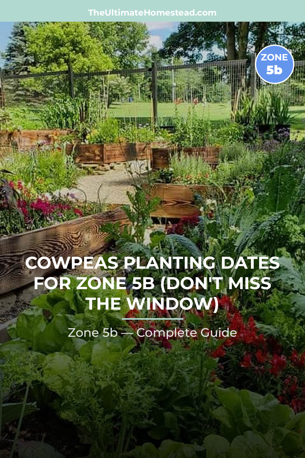 When to Plant Cowpeas in Zone 5b