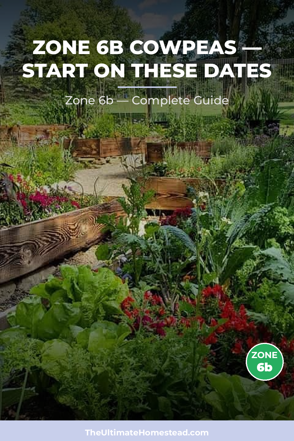 When to Plant Cowpeas in Zone 6b