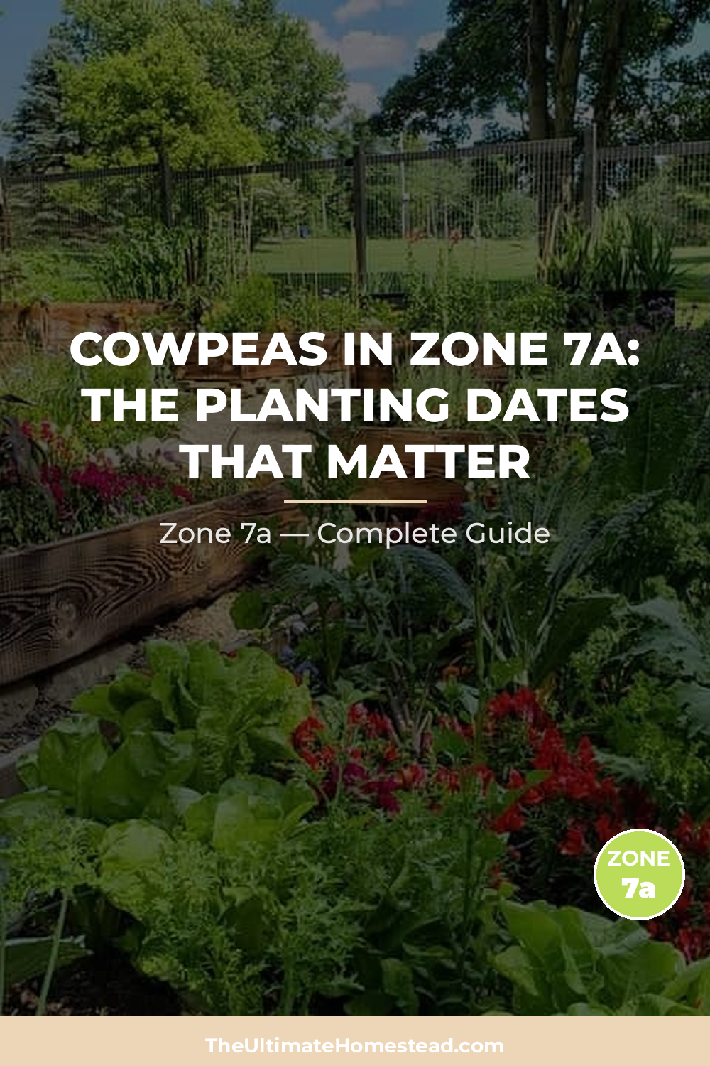 When to Plant Cowpeas in Zone 7a