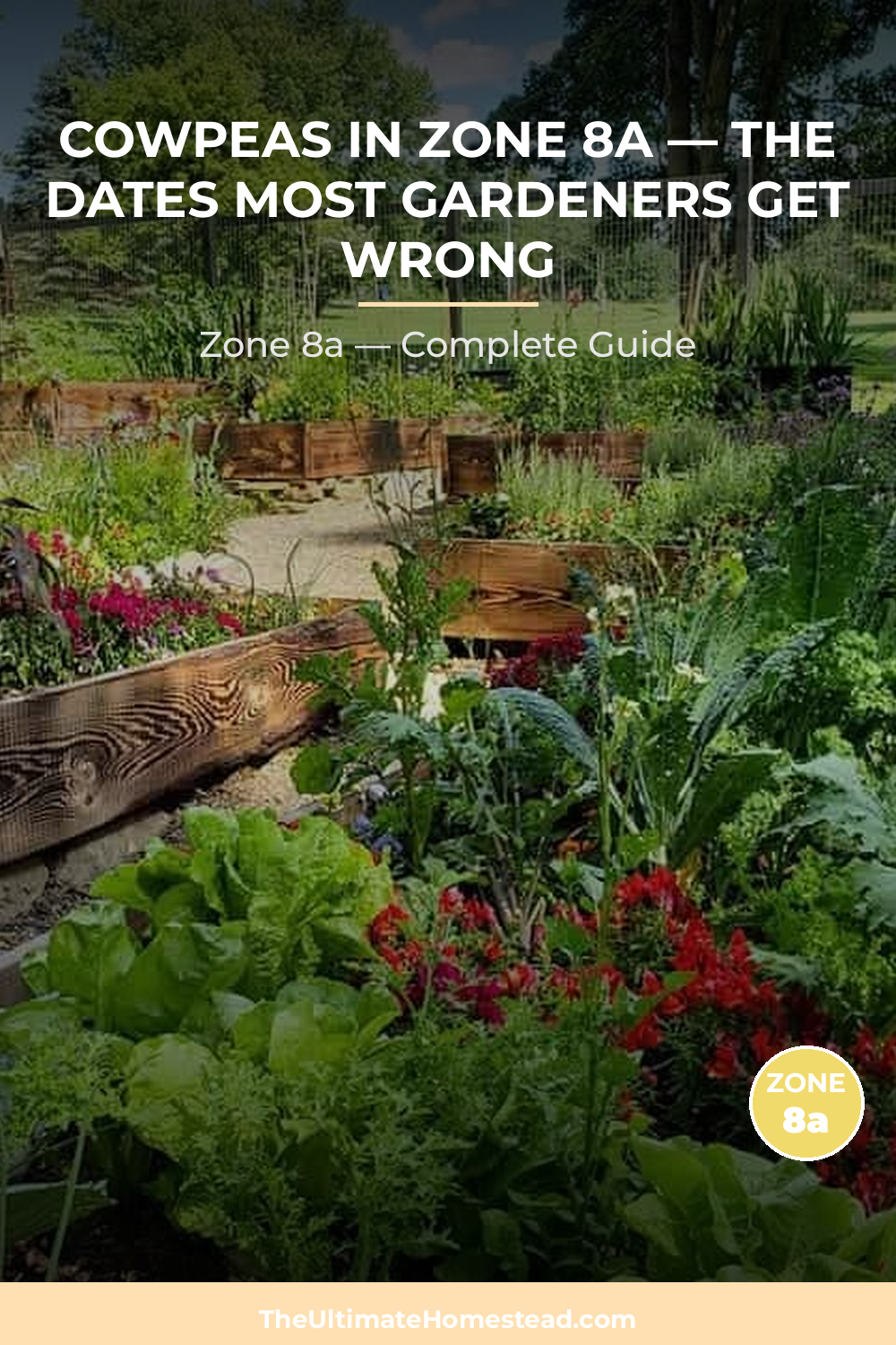 When to Plant Cowpeas in Zone 8a