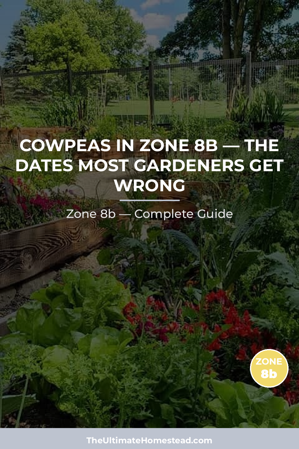 When to Plant Cowpeas in Zone 8b