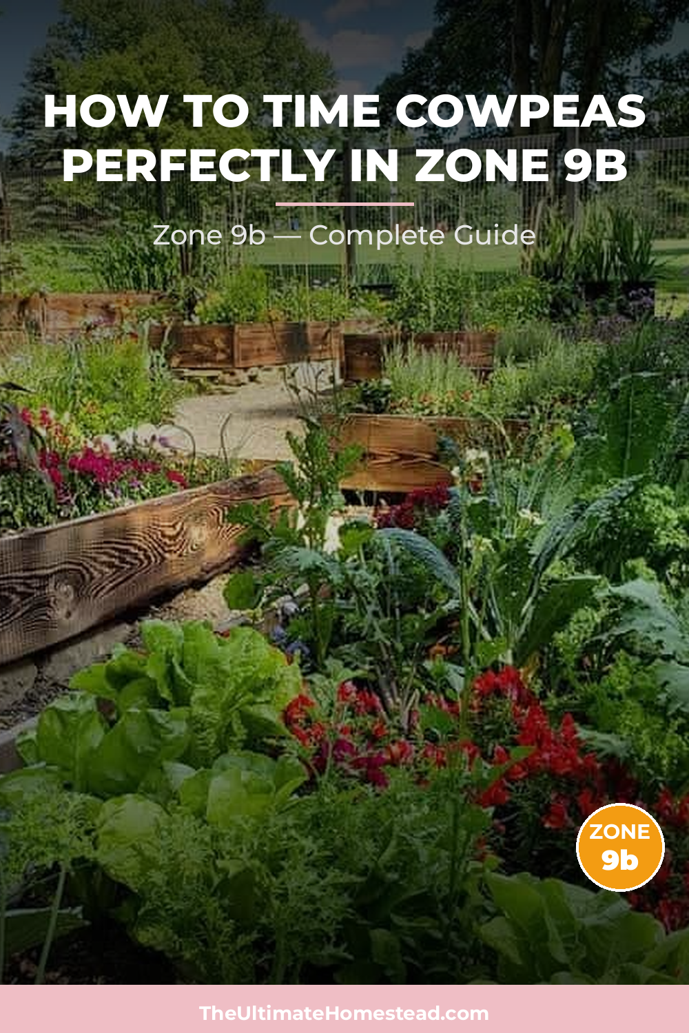 When to Plant Cowpeas in Zone 9b