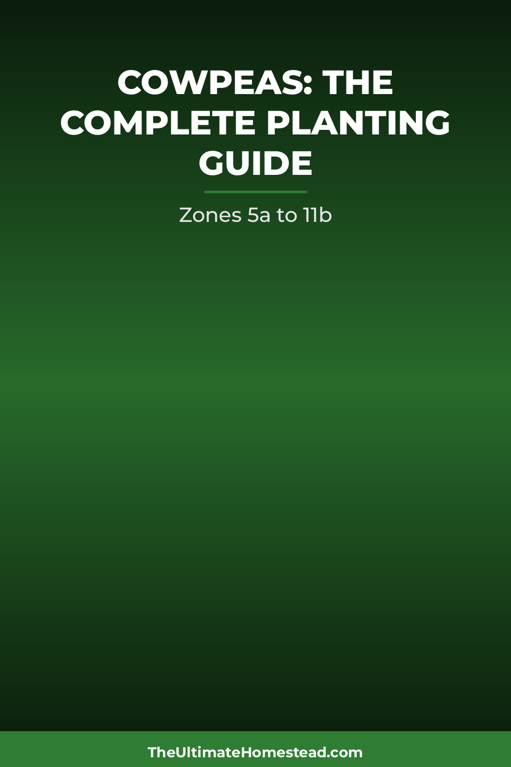 Cowpeas Planting Guide