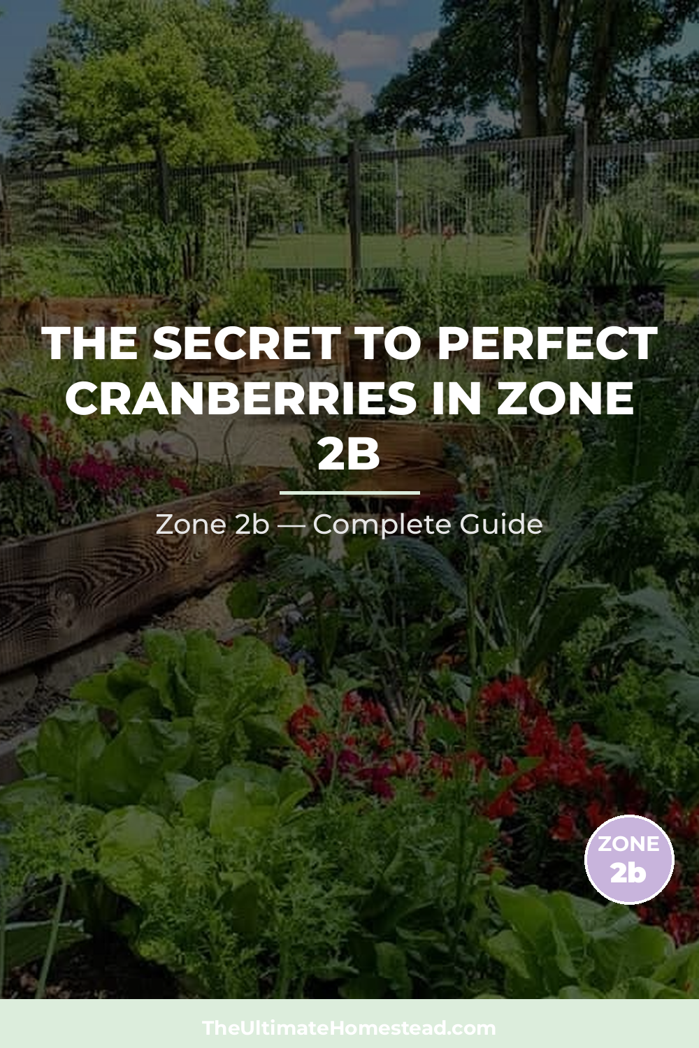 When to Plant Cranberries in Zone 2b