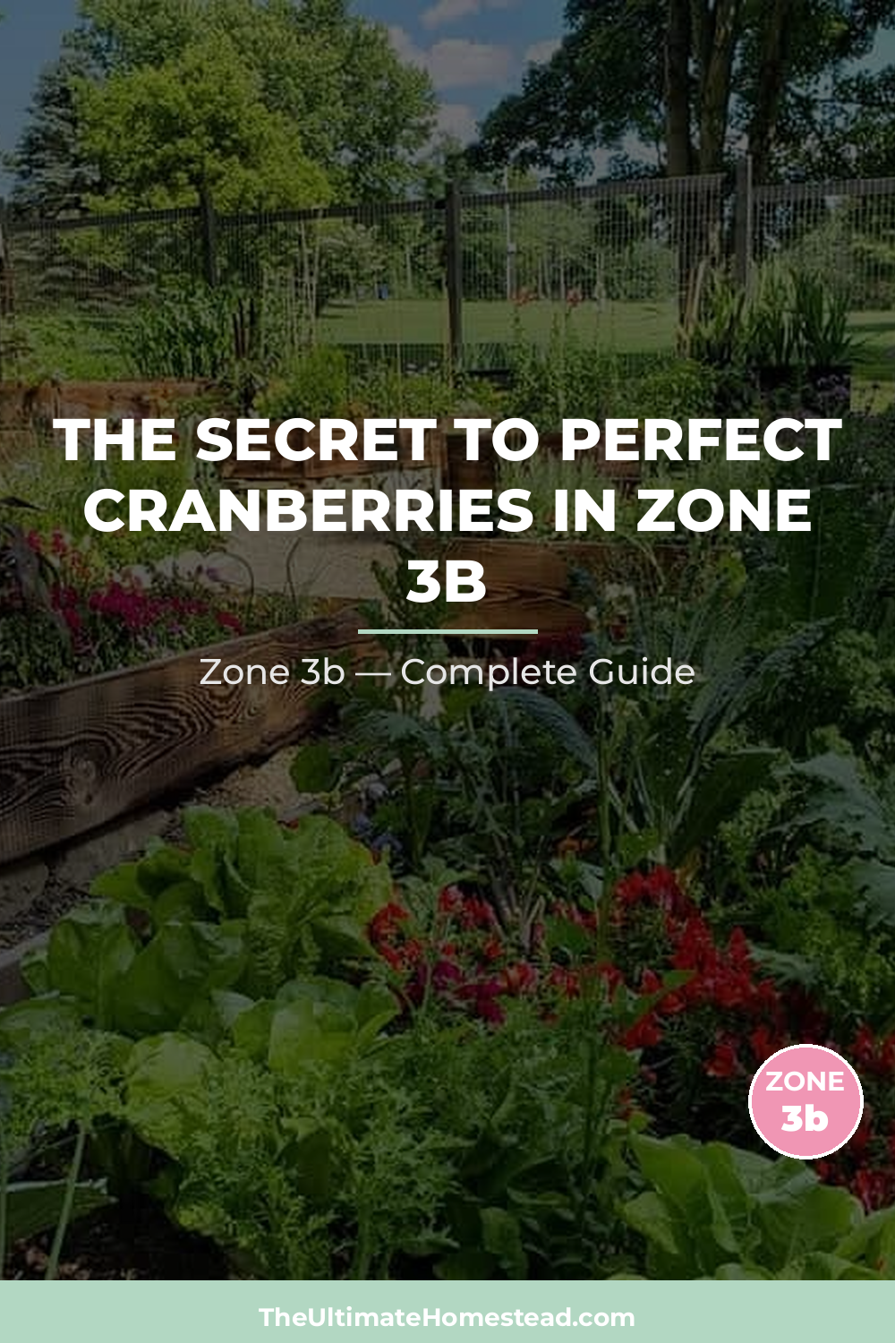 When to Plant Cranberries in Zone 3b