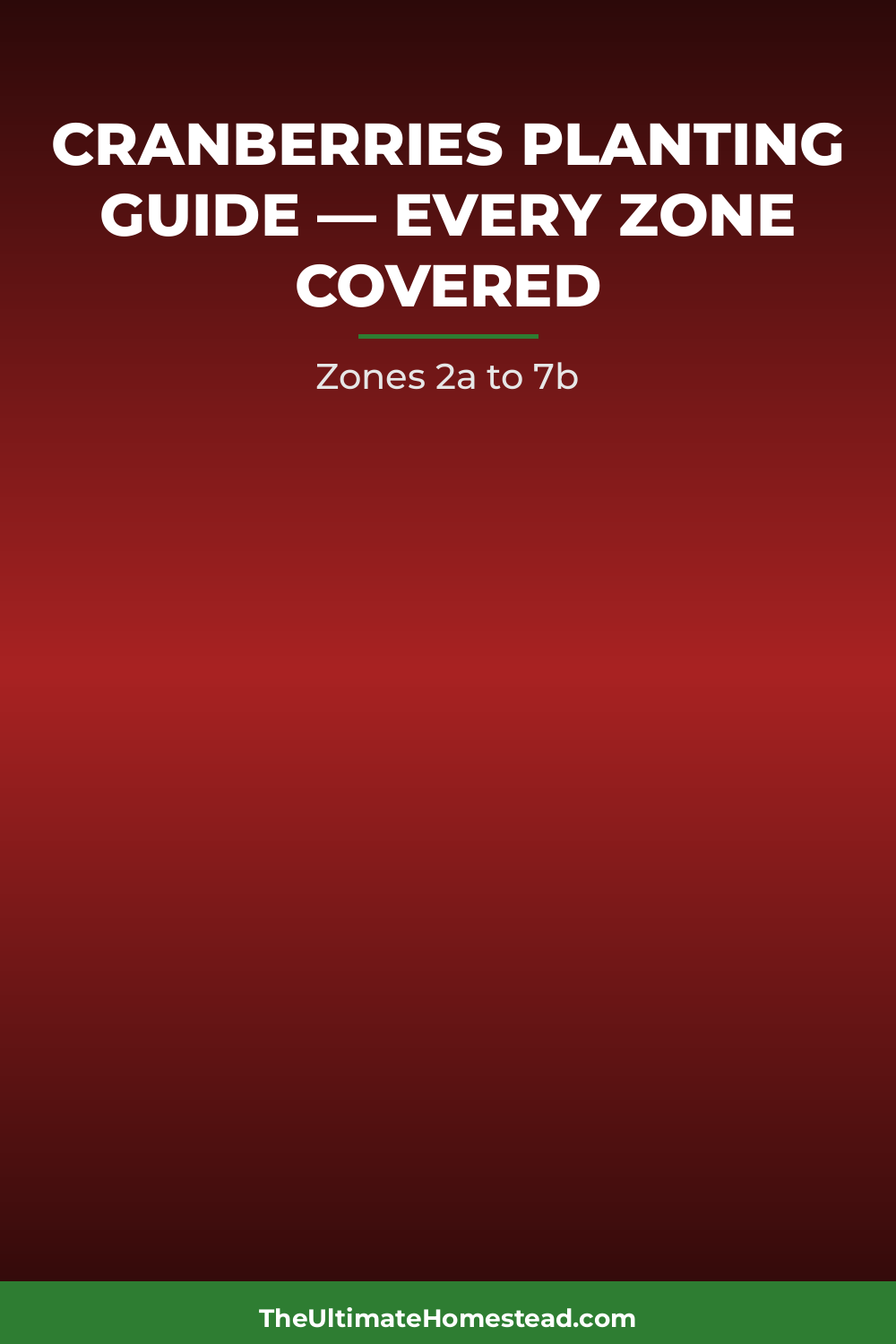 Cranberries Planting Guide