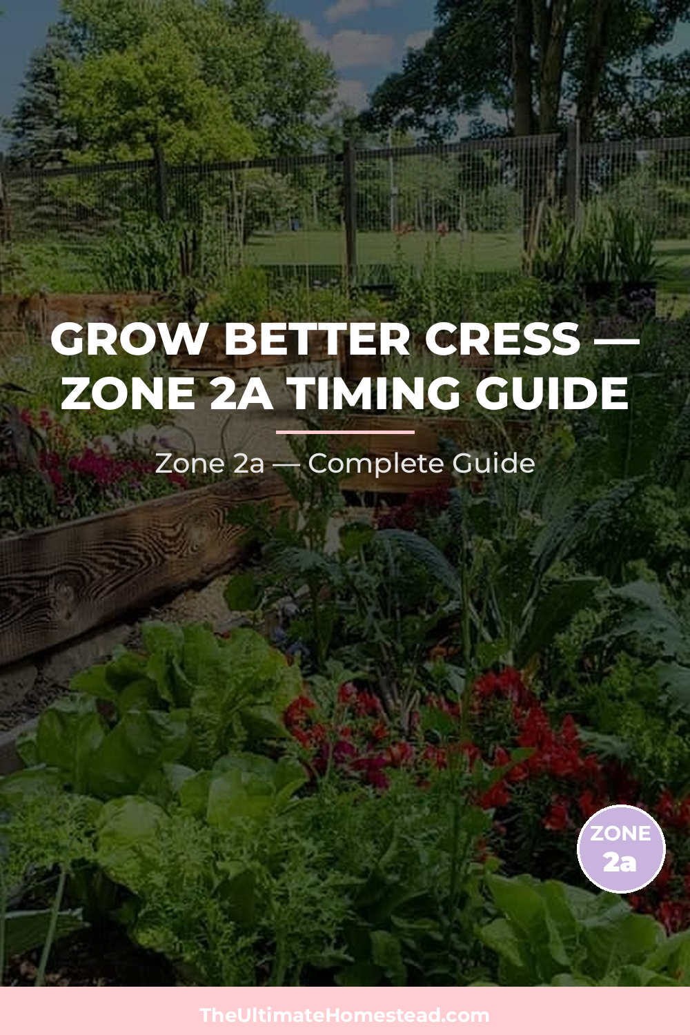 When to Plant Cress in Zone 2a