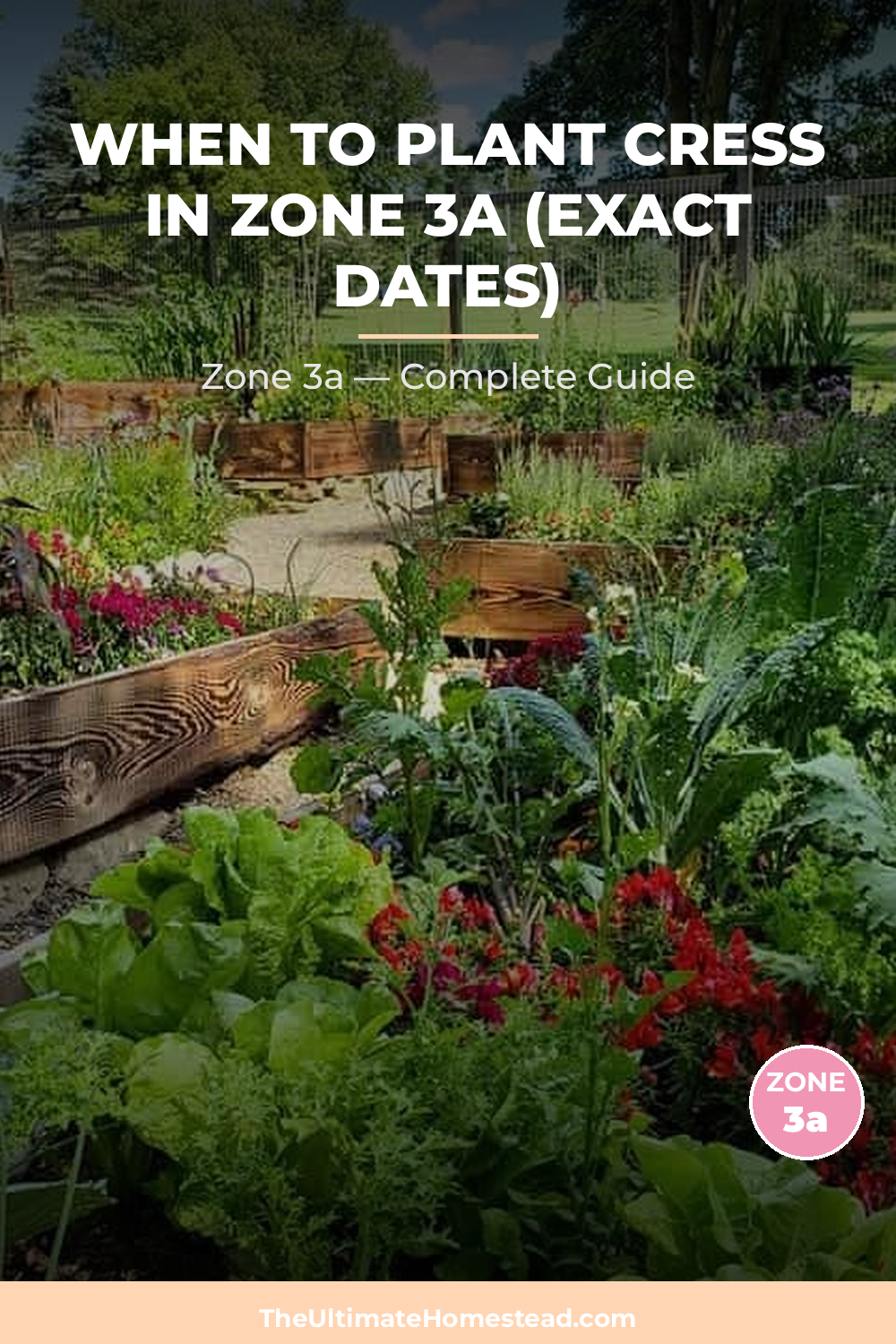 When to Plant Cress in Zone 3a