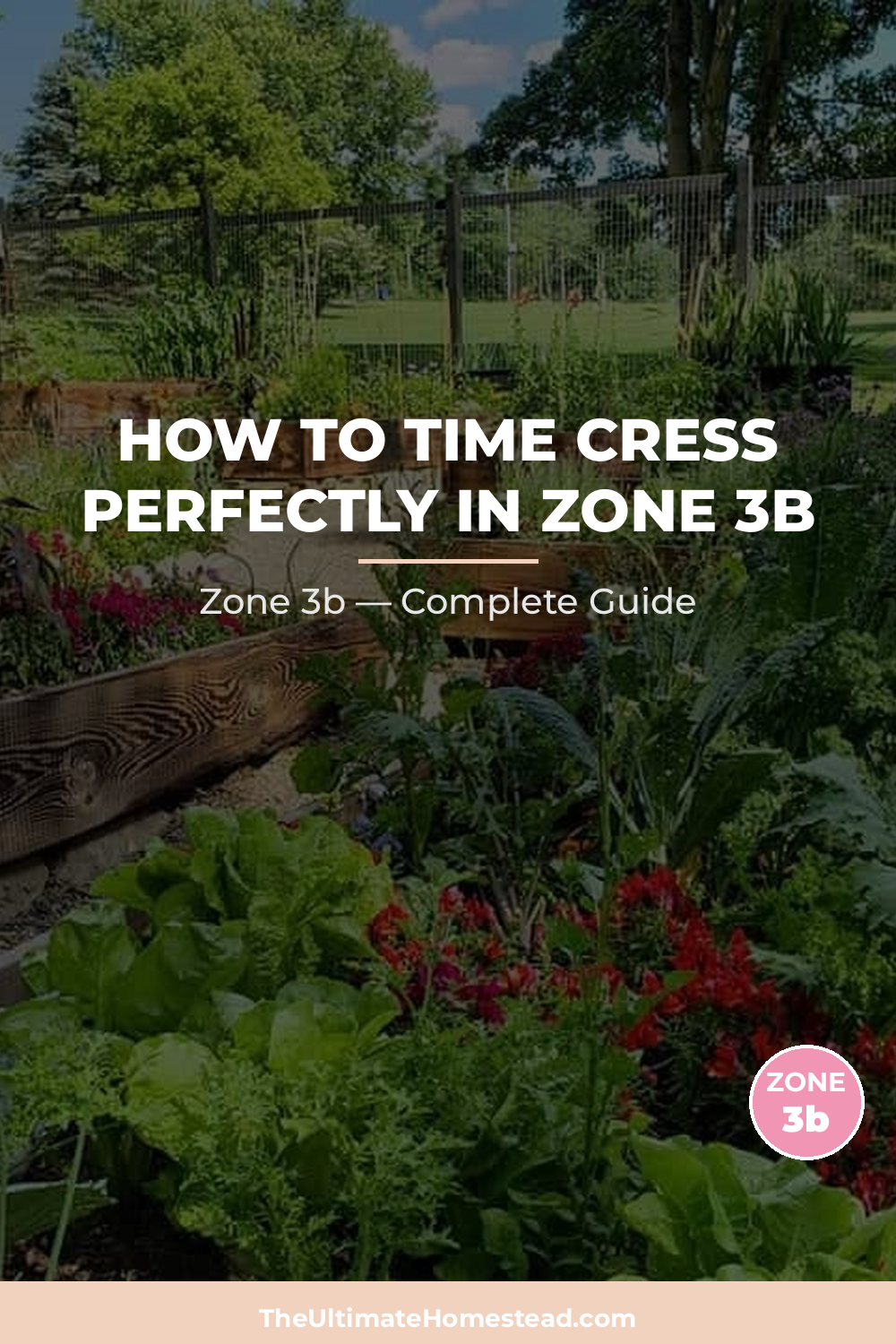 When to Plant Cress in Zone 3b