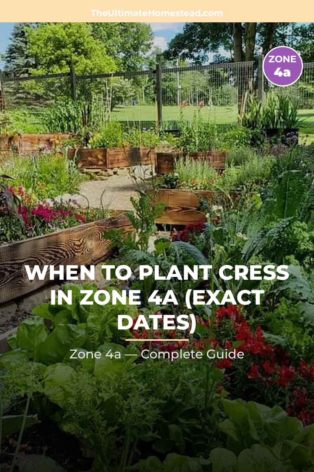 When to Plant Cress in Zone 4a