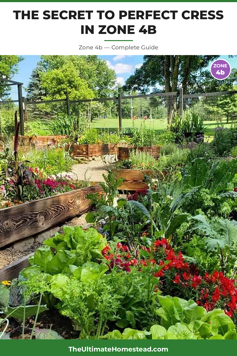 When to Plant Cress in Zone 4b