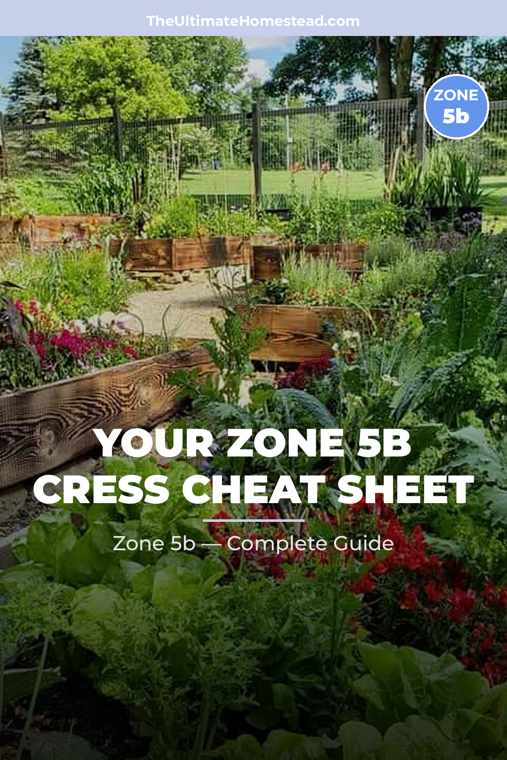 When to Plant Cress in Zone 5b