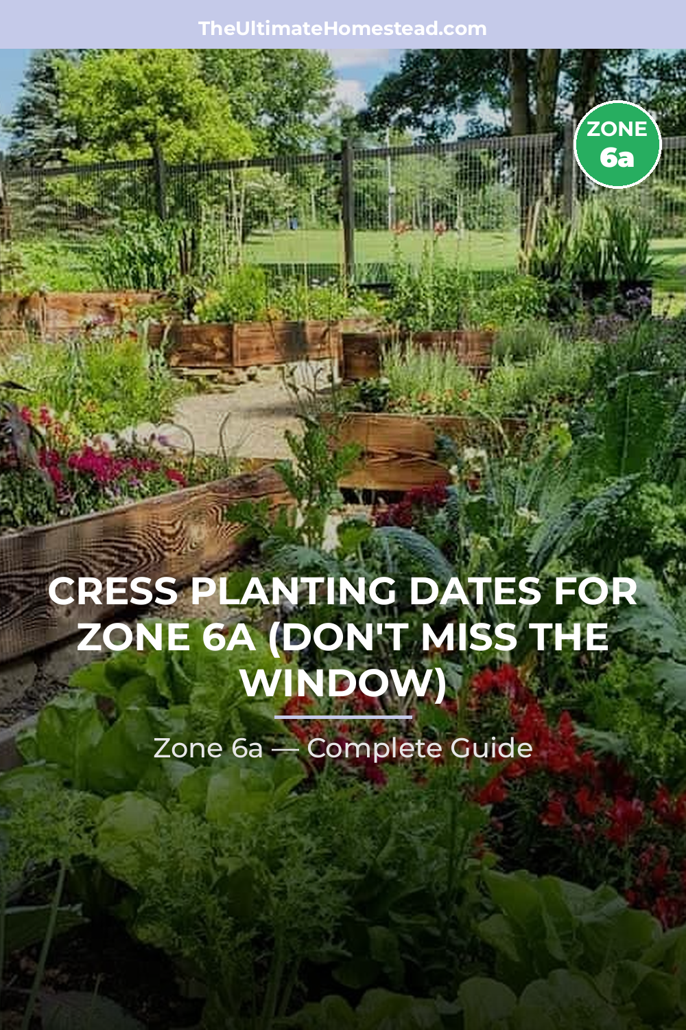 When to Plant Cress in Zone 6a