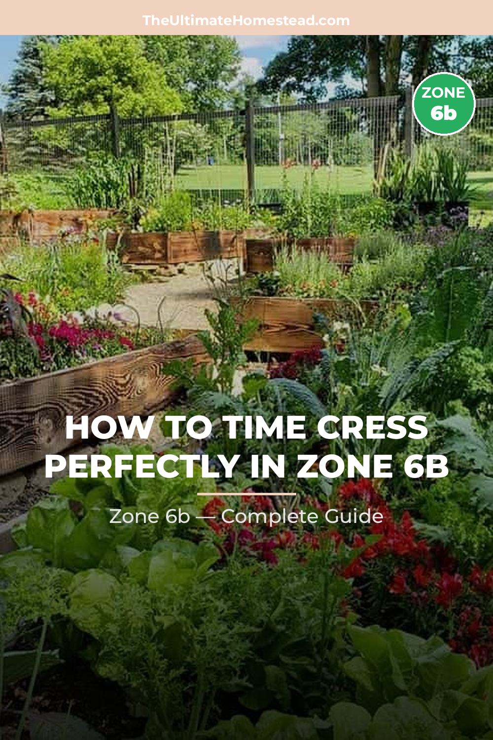 When to Plant Cress in Zone 6b