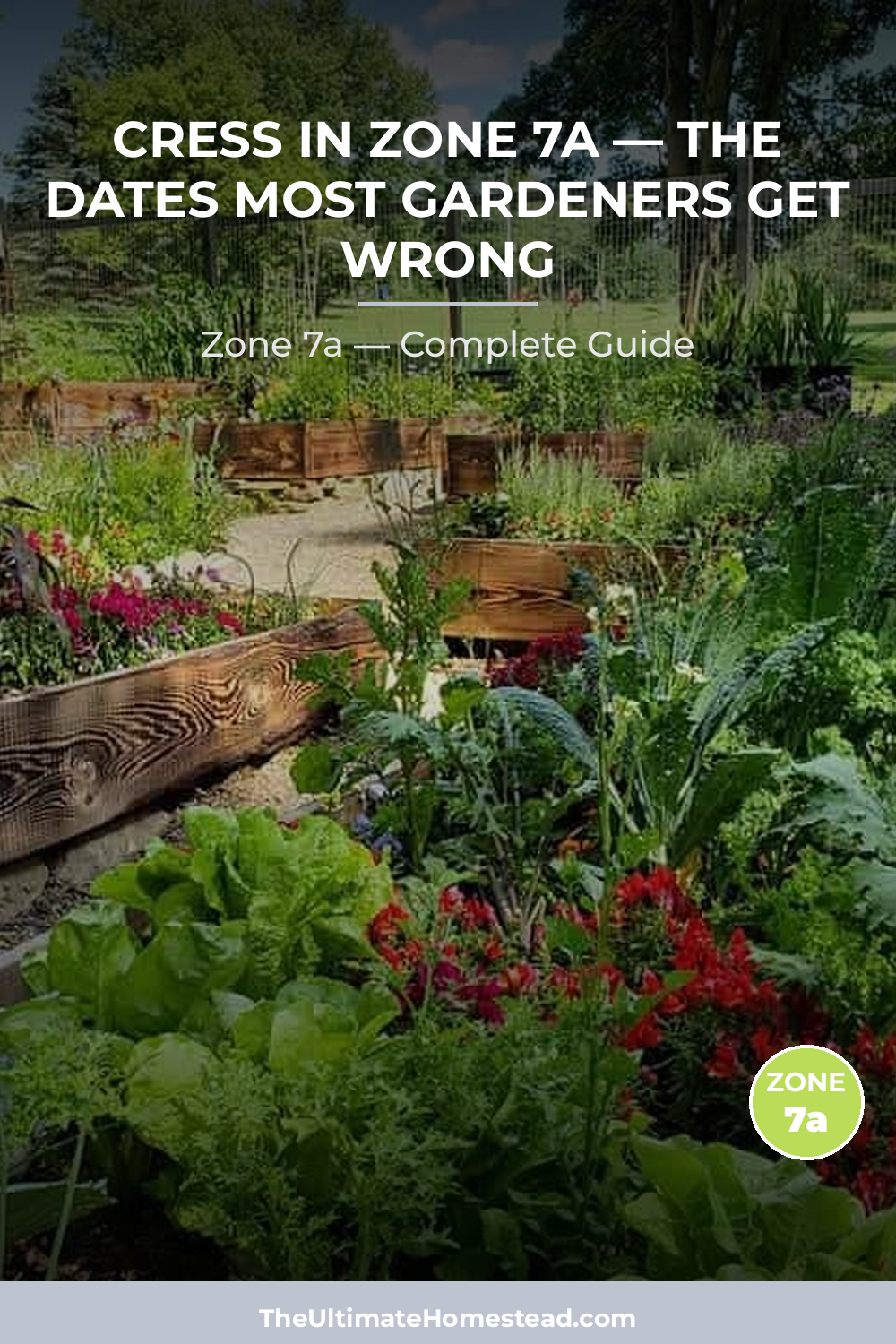 When to Plant Cress in Zone 7a