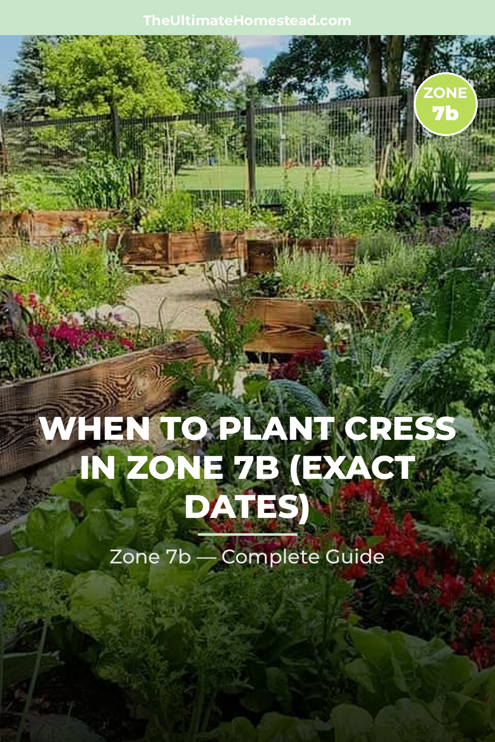 When to Plant Cress in Zone 7b