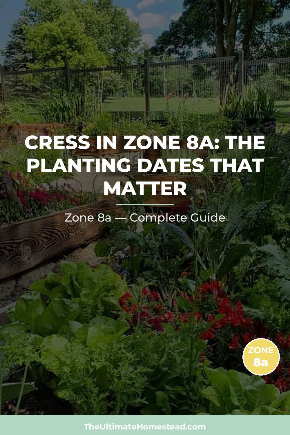 When to Plant Cress in Zone 8a