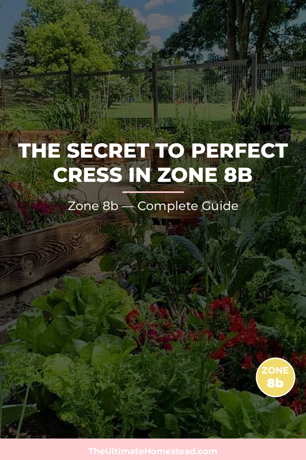 When to Plant Cress in Zone 8b